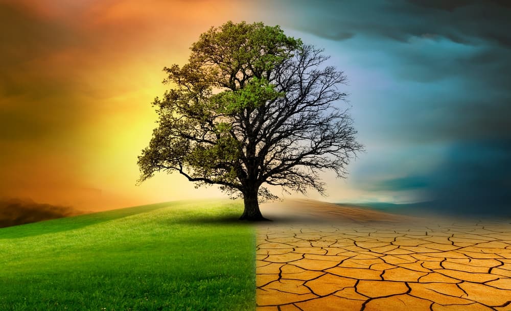 Metre 360 Climate Pledge