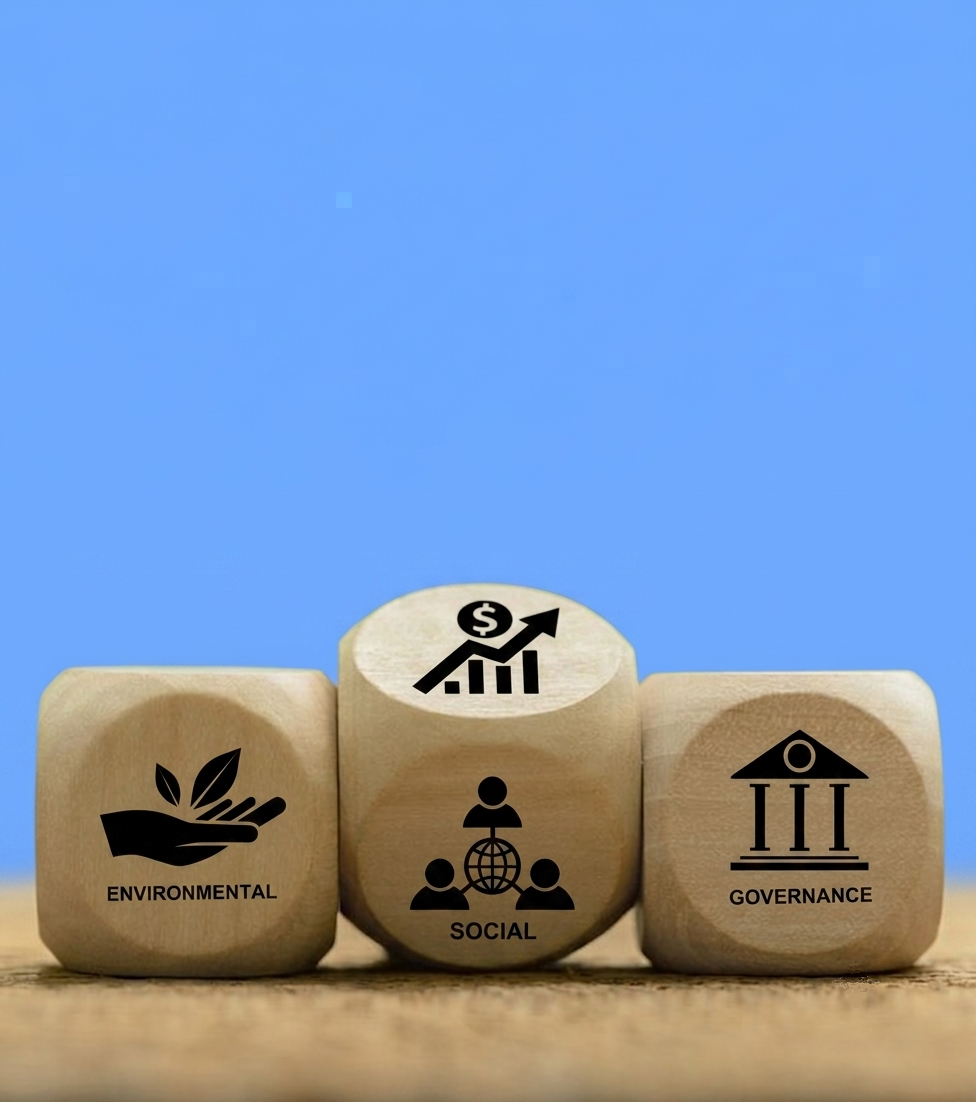 Environmental accountability supporting transportation climate enforcement through disclosure, social responsibility, and economic governance.