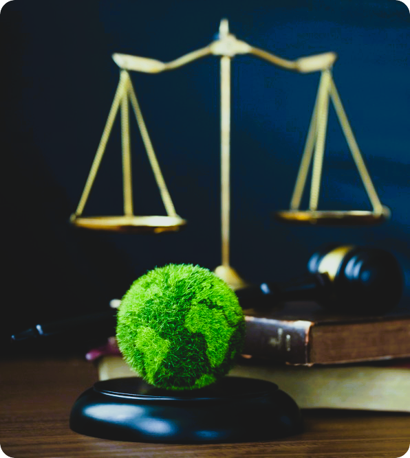 Global Enviromental Law